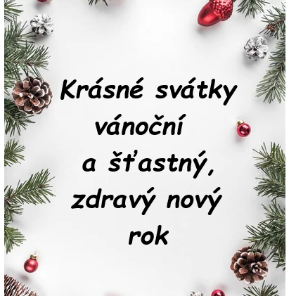 depositphotos_229876494-stock-photo-creative-frame-made-christmas-fir-1